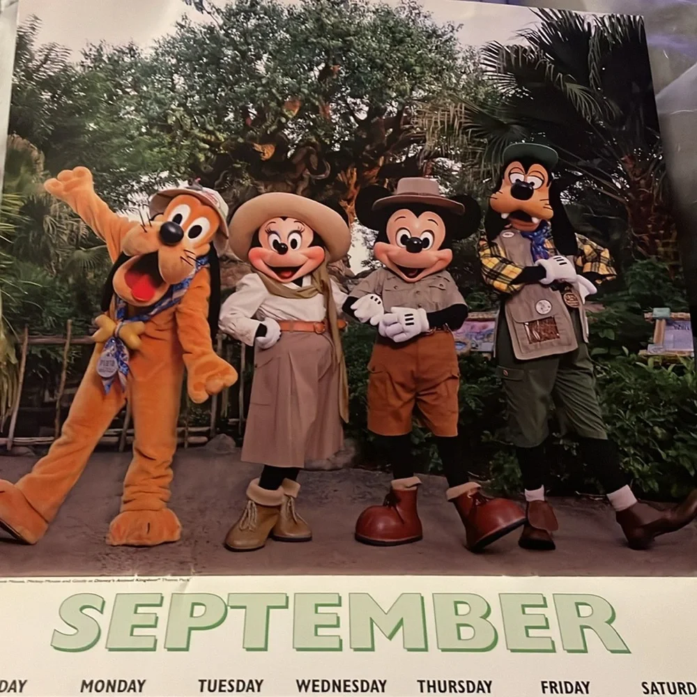 Walt Disney world 2016 & 2017 unused calendar